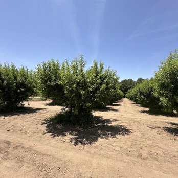 Schnepf Farms - Venues & Event Spaces Near Me - Queen Creek, Arizona
