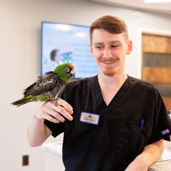 Lakeside Animal Hospital