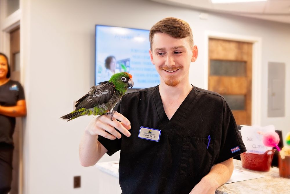 Lakeside Animal Hospital - pet boarding facility in Richmond, VA