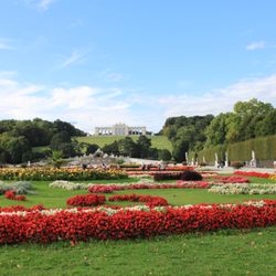 Schönbrunner Schloßpark - Rear gardens