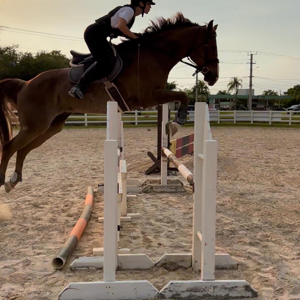 Horseback Riding Lessons Doral Florida Scenic Horse Ride Tours