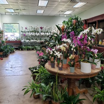 Freytag's Florist - Florists Near Me - Austin, Texas