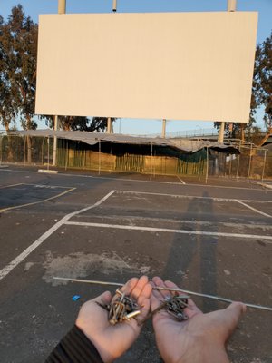 West Wind Capitol Drive-In by null