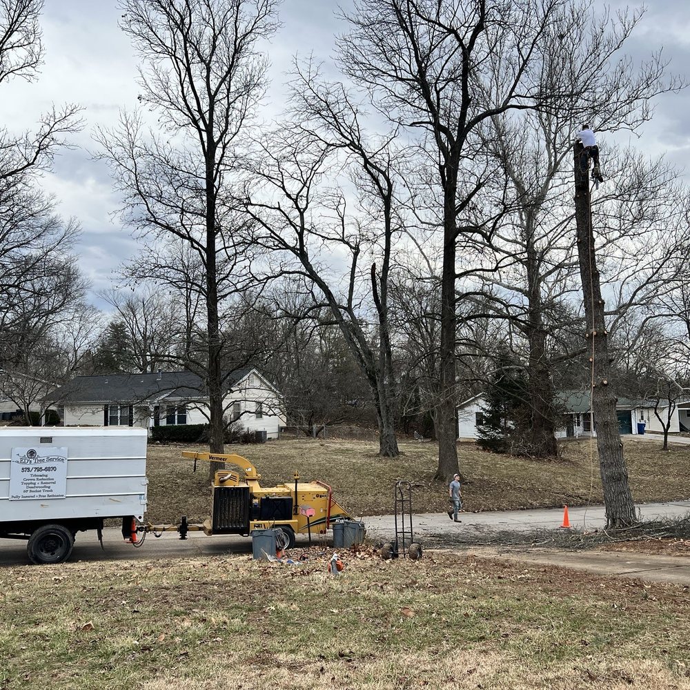 Ed's Tree Service - Tree Services Near Me - Manchester, Missouri