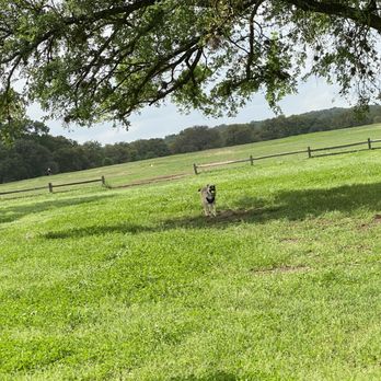 Zilker Metropolitan Park - Out for some fresh air - Parks Near Me - Austin, Texas