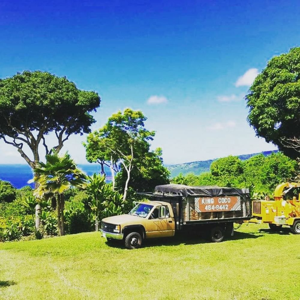 KING COCO TREE SERVICES 23 Photos KailuaKona, Hawaii Tree Services Phone Number Yelp