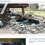 Photo of Bella's Pond Services