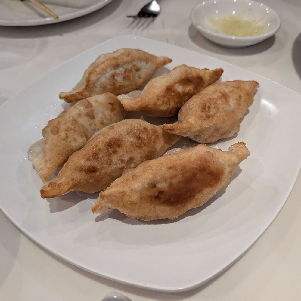 Soup Dumpling Plus - #06. Pan Fried Vegetable and Pork Dumpling - Shanghainese Near Me - Fort Lee, New Jersey Soup Dumpling Plus - #06. Pan Fried Vegetable and Pork Dumpling - Shanghainese Near Me - Fort Lee, New Jersey