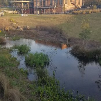 The Edison - Gorgeous park adjacent to the restaurant makes for great views. - Steakhouses Near Me - Tallahassee, Florida