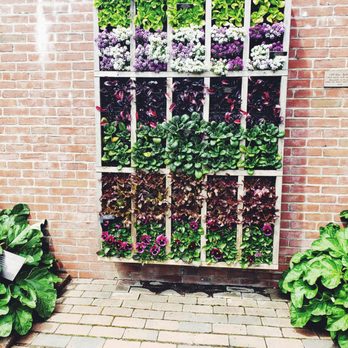 Chicago Botanic Garden - Botanical Gardens Near Me - Glencoe, Illinois