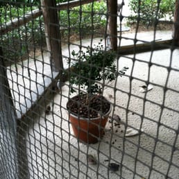 Aviary Aviary