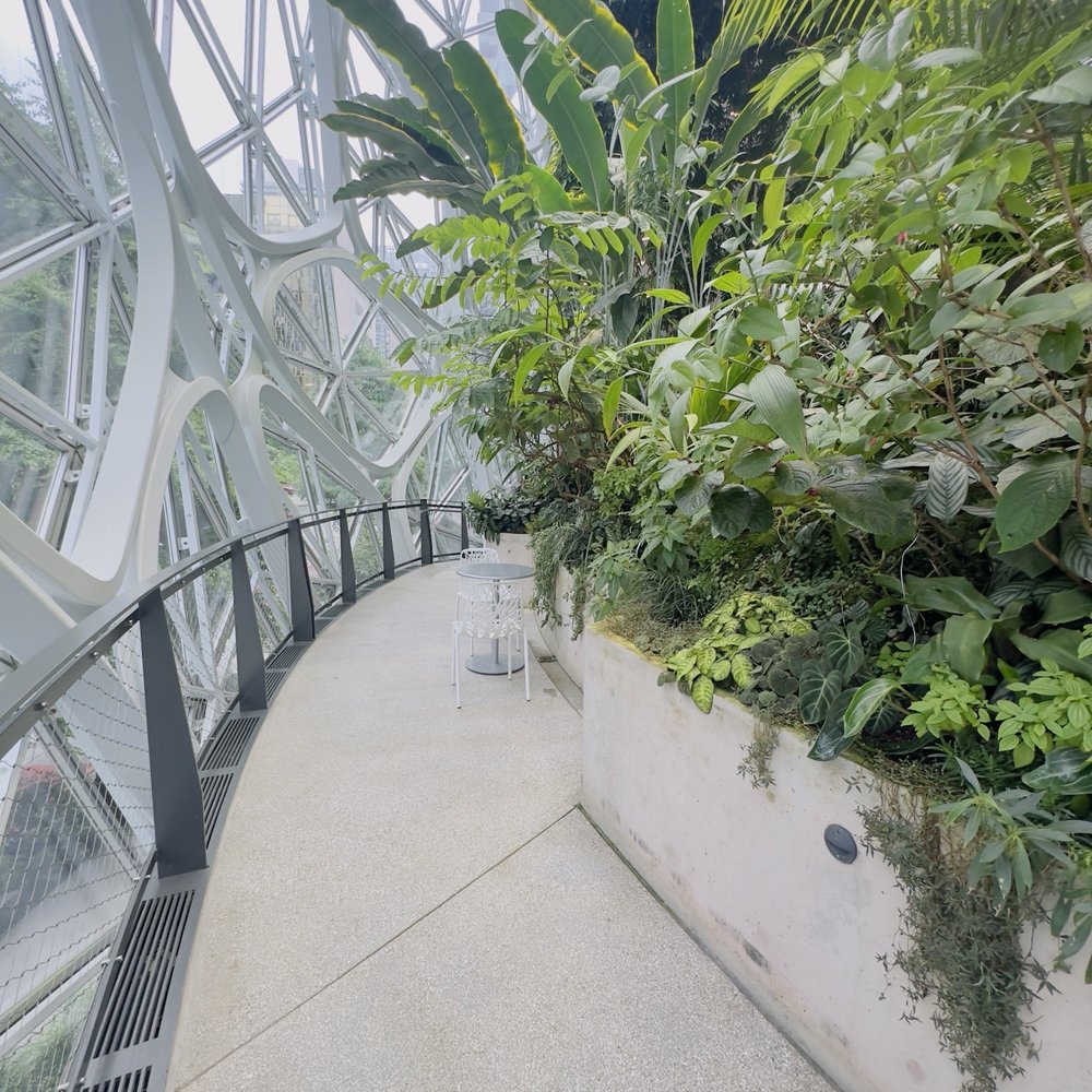 Amazon Spheres - Botanical Gardens Near Me - Seattle, Washington Amazon Spheres - Botanical Gardens Near Me - Seattle, Washington