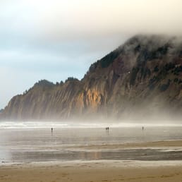 Winter Morning in Manzanita