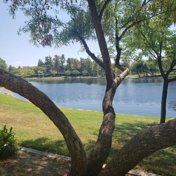 Harveston Lake Park - Picturesque trees - Playgrounds Near Me - Temecula, California Harveston Lake Park - Picturesque trees - Playgrounds Near Me - Temecula, California