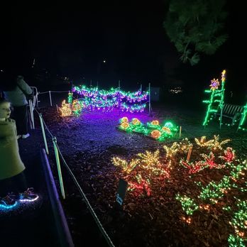 Garden D'Lights - Veggies - Local Flavor Near Me - Bellevue, Washington Garden D'Lights - Veggies - Local Flavor Near Me - Bellevue, Washington
