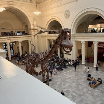 Field Museum - Museums Near Me - Chicago, Illinois