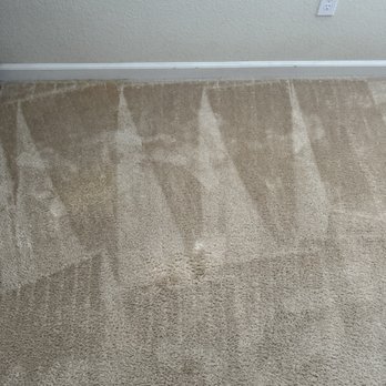 Next Level Carpet Care - Nursery - Carpet Cleaning Near Me - Oakley, California Next Level Carpet Care - Nursery - Carpet Cleaning Near Me - Oakley, California