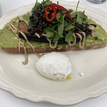 Sunflower Caffe - Avocado Toast - Coffee & Tea Near Me - Sonoma, California
