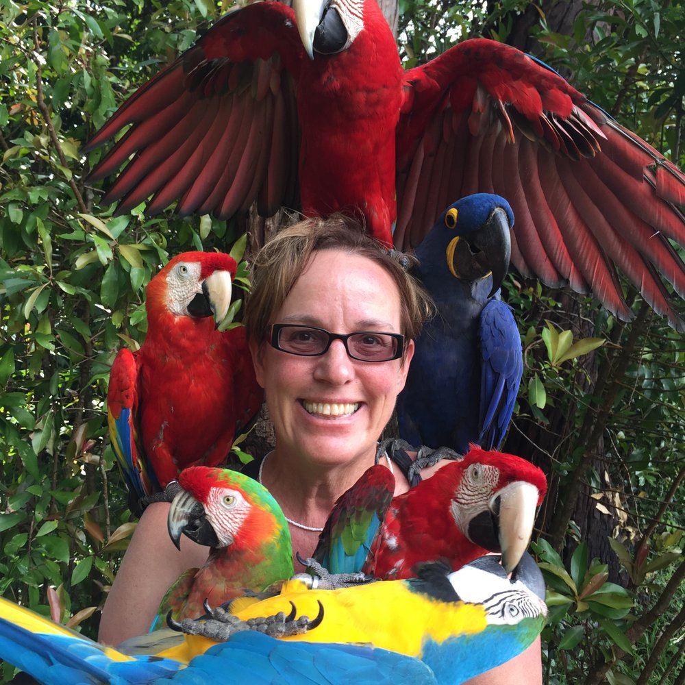 Maui's Private Guide - Bud Clifton's Movie birds on the Road to Hana. - Beer Tours Near Me Maui's Private Guide - Bud Clifton's Movie birds on the Road to Hana. - Beer Tours Near Me