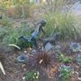 Photo of kitty pozer park