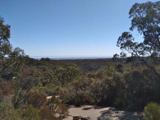 Cleland National Park by null