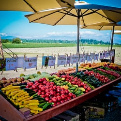 Viva Farms - Great selection at Viva Farms. They carry tons of products that are grown right on the farm and bring in products from elsewhere
