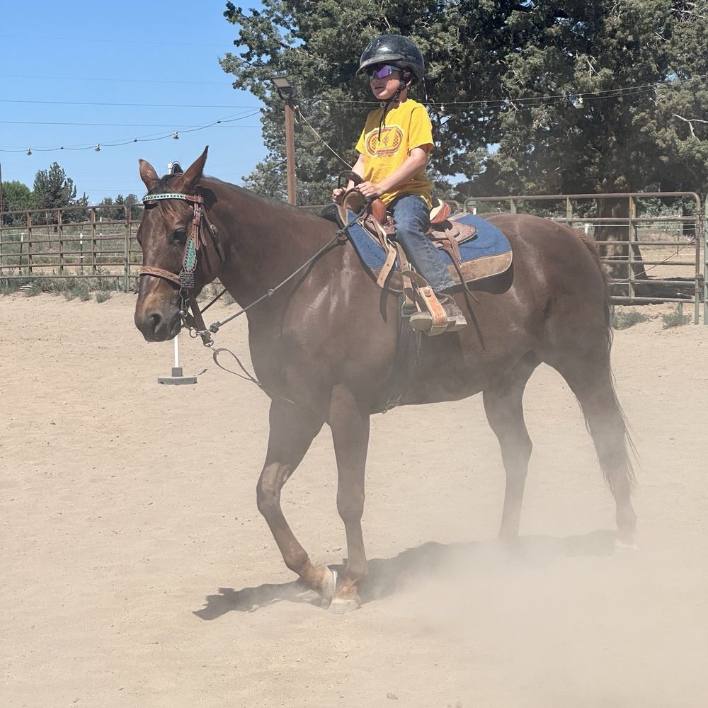 M&B Farms - Cantering around poles and barrels! I'm 7 yo. - Horse Boarding Near Me - Bend, Oregon