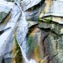 Photo of Lisa Falls