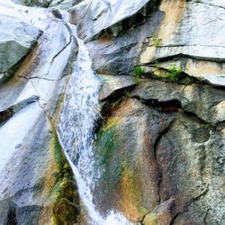 Lisa Falls