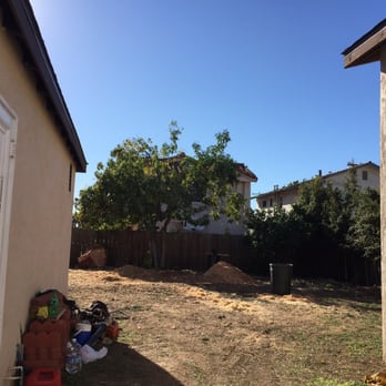 Red Maple Tree Service - Tree Services Near Me - San Diego, California Red Maple Tree Service - Tree Services Near Me - San Diego, California