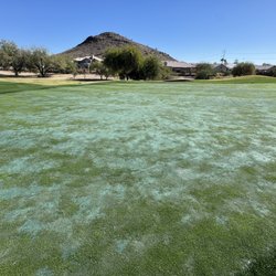 Foothills Golf Club - Green