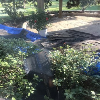 Legacy General Contractors - They do not cover/protect shrubs as promised. - Roofing Near Me - Frisco, Texas