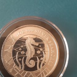 Silver seahorse