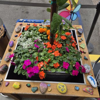Kitchens for Good Shop - You can paint rocks and add to their garden or take home. - Kitchen Supplies Near Me - San Diego, California