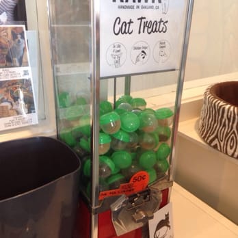 Cat Town - Cat treats. - Animal Shelters Near Me - Oakland, California Cat Town - Cat treats. - Animal Shelters Near Me - Oakland, California