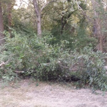 WP Industries - Before - Tree Services Near Me - Whitehouse, Texas