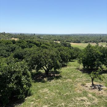 Happy Dayz Vineyard - Wine Tasting Room Near Me - Penryn, California Happy Dayz Vineyard - Wine Tasting Room Near Me - Penryn, California