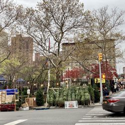 Samuel Seabury Playground - 11/30/22