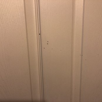 Vacasa - Waldport - Blood splattered on the door - Vacation Rentals Near Me - Waldport, Oregon Vacasa - Waldport - Blood splattered on the door - Vacation Rentals Near Me - Waldport, Oregon