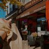 Chatham Bagels gift card
