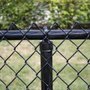Photo of Dolphin Fence