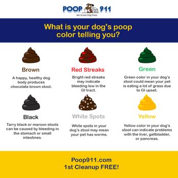 POOP 911 - Pet Waste Removal Near Me POOP 911 - Pet Waste Removal Near Me
