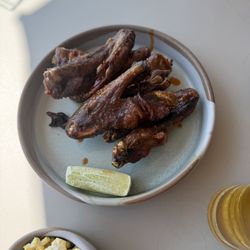 Elderwood - Duck wings