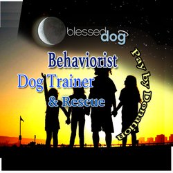 Blessed Dog - When all else fails! Communicate and use proper age appropriate Developmental exercises.