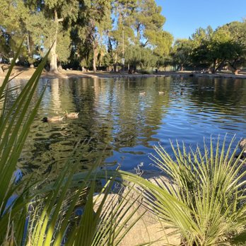 Gene C. Reid Park - Gene Reid Park in Tucson, AZ 11/27/21 - Parks Near Me - Tucson, Arizona Gene C. Reid Park - Gene Reid Park in Tucson, AZ 11/27/21 - Parks Near Me - Tucson, Arizona