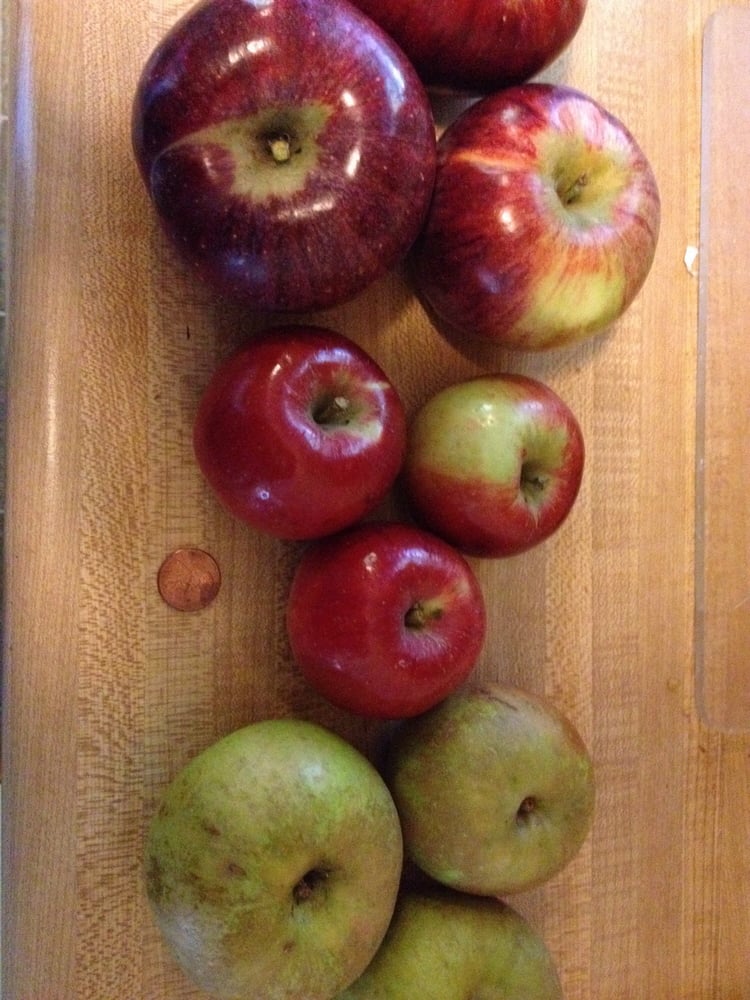 Cortland Jonafree Roxbury Russet With Penny For Scale Yelp
