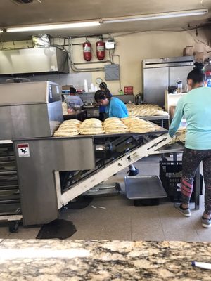 Tortilleria Lupita by null