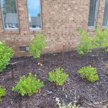 TN Nursery - DEAD 1 - Nurseries & Gardening Near Me - Altamont, Tennessee TN Nursery - DEAD 1 - Nurseries & Gardening Near Me - Altamont, Tennessee