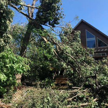 JCE Tree Service - Tree Services Near Me - River Falls, Wisconsin JCE Tree Service - Tree Services Near Me - River Falls, Wisconsin