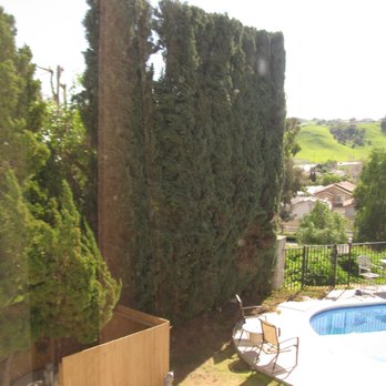 tree service - After - Tree Services Near Me tree service - After - Tree Services Near Me